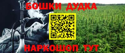 гашик Ливны