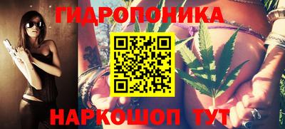 гашик Ливны