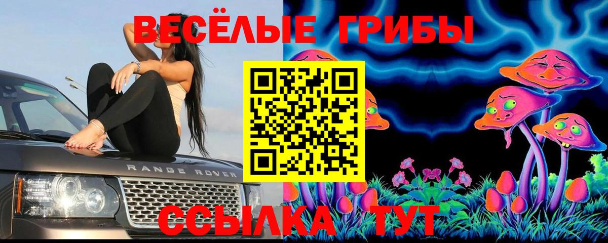 Галлюциногенные грибы Cubensis  Вход с VPN  Псилоцибиновые грибы MAGIC MUSHROOMS  Дзержинский 